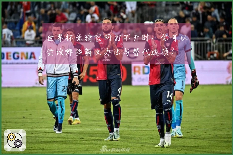 开云体育资讯图片
