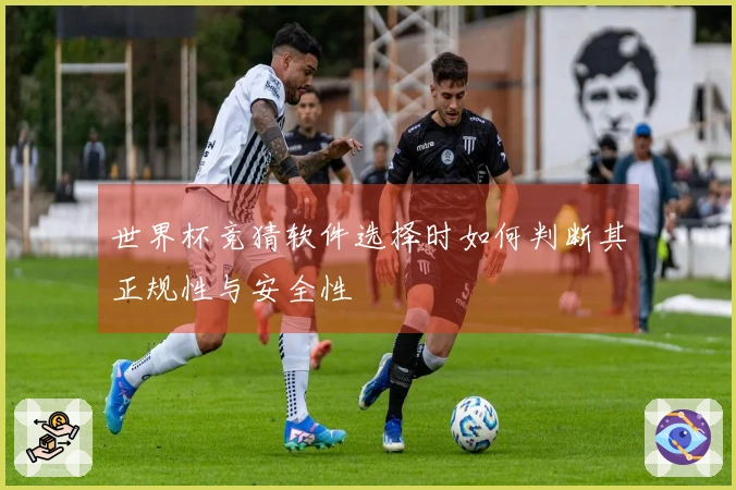 世界杯竞猜软件选择时如何判断其正规性与安全性