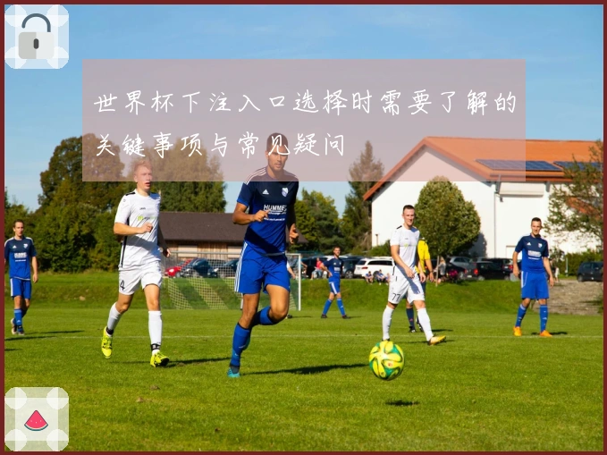 世界杯下注入口选择时需要了解的关键事项与常见疑问