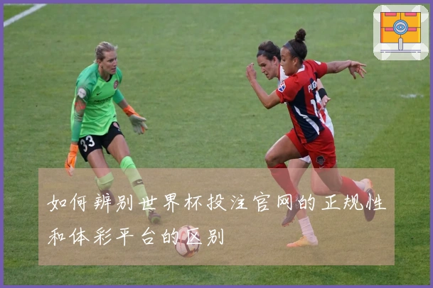 如何辨别世界杯投注官网的正规性和体彩平台的区别