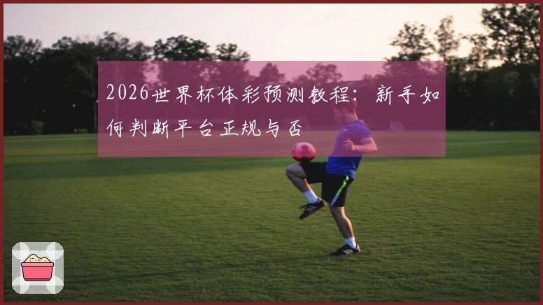 2026世界杯体彩预测教程：新手如何判断平台正规与否