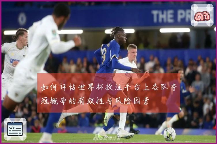 如何评估世界杯投注平台上各队夺冠概率的有效性与风险因素