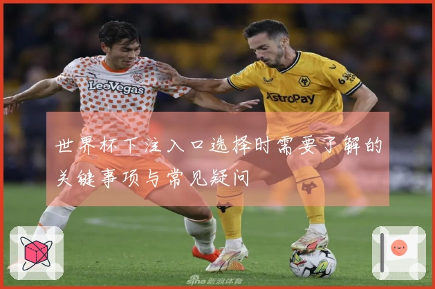 世界杯下注入口选择时需要了解的关键事项与常见疑问