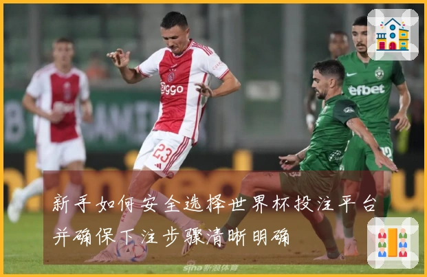 新手如何安全选择世界杯投注平台并确保下注步骤清晰明确