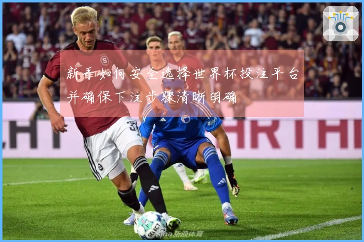 新手如何安全选择世界杯投注平台并确保下注步骤清晰明确