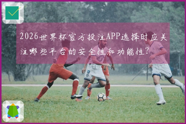 2026世界杯官方投注APP选择时应关注哪些平台的安全性和功能性？