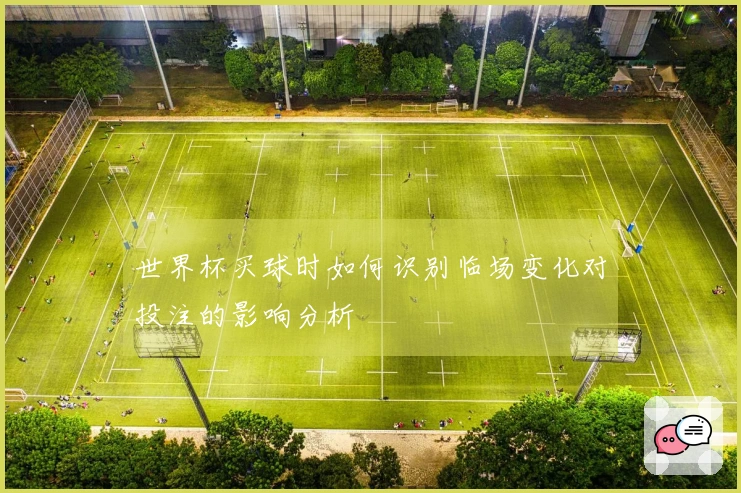 开云体育资讯图片